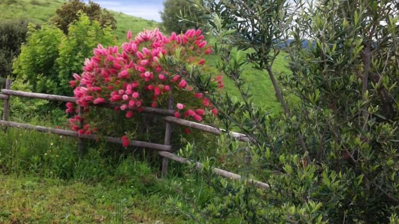 Photo of Outdoor in Ventiseri