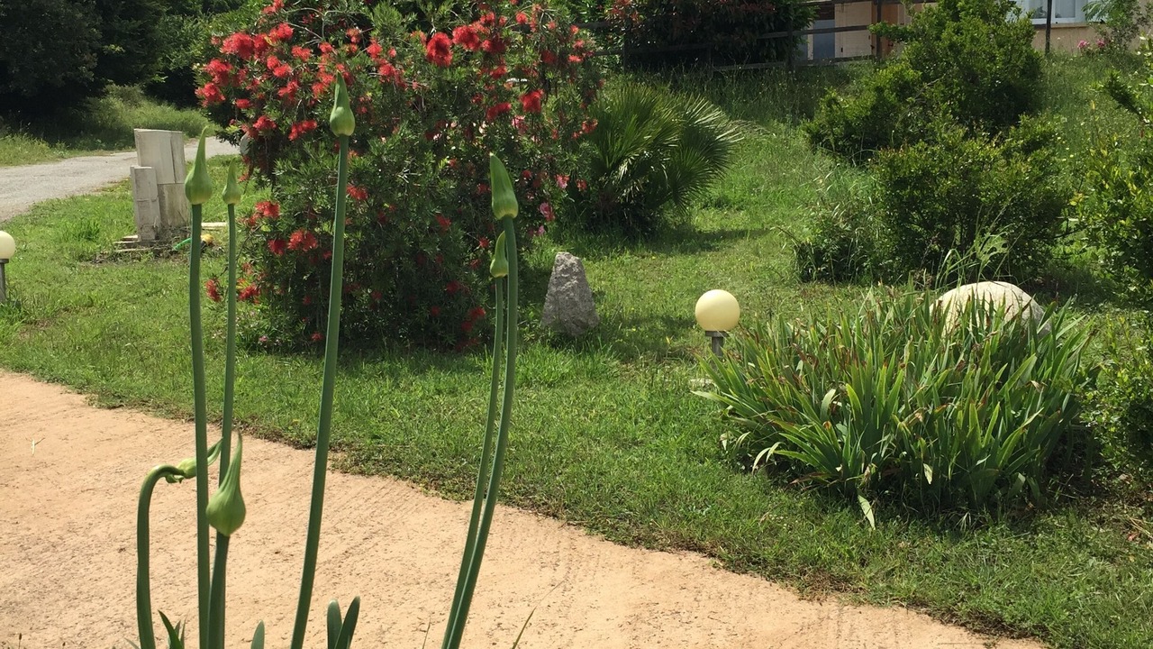Photo of Outdoor in Ventiseri