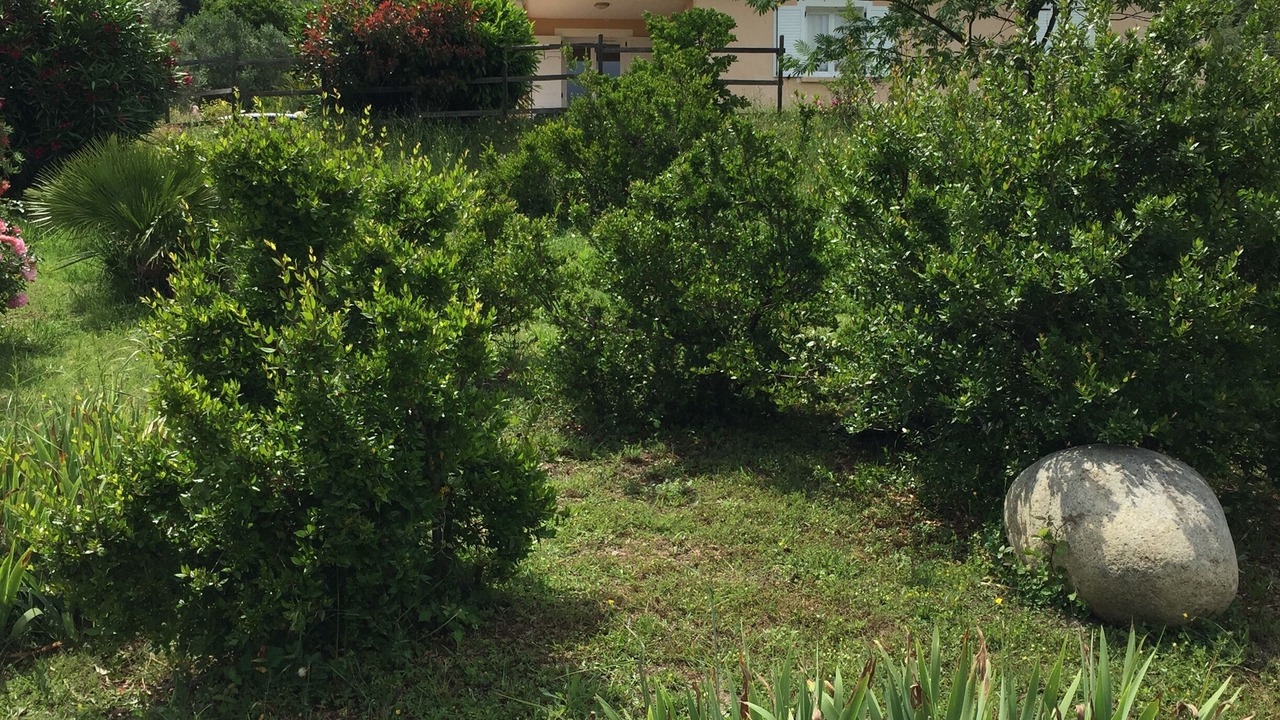 Photo of Outdoor in Ventiseri