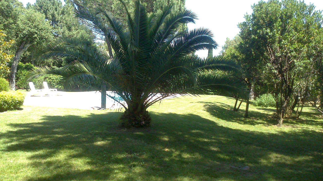 Photo of Outdoor in Lecci