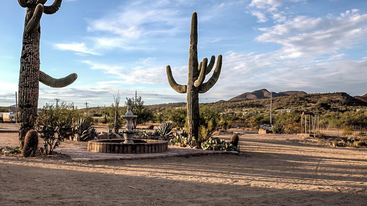 Photo of Outdoor in New River