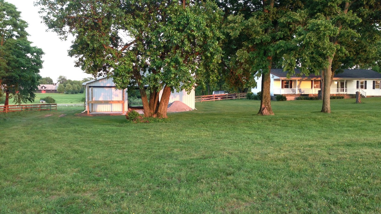 Photo of Outdoor in Lexington