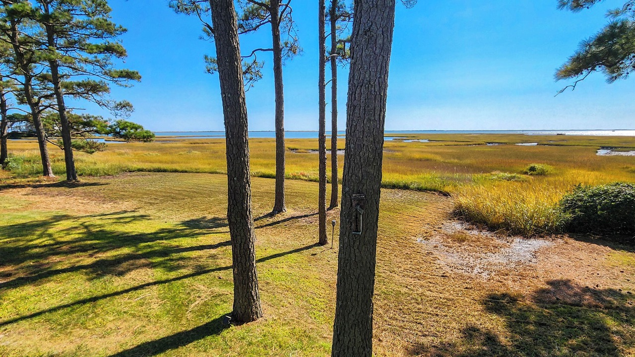 Photo of Others in Assateague Pointe