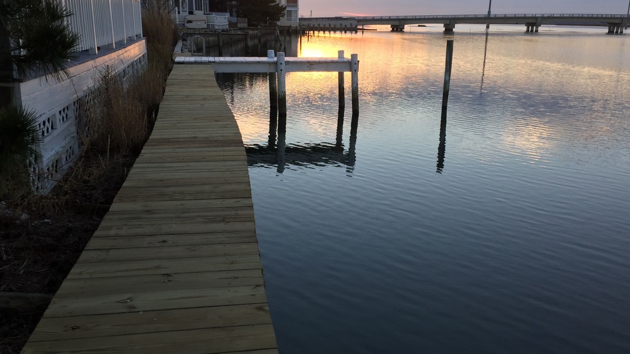 Photo of Others in Chincoteague