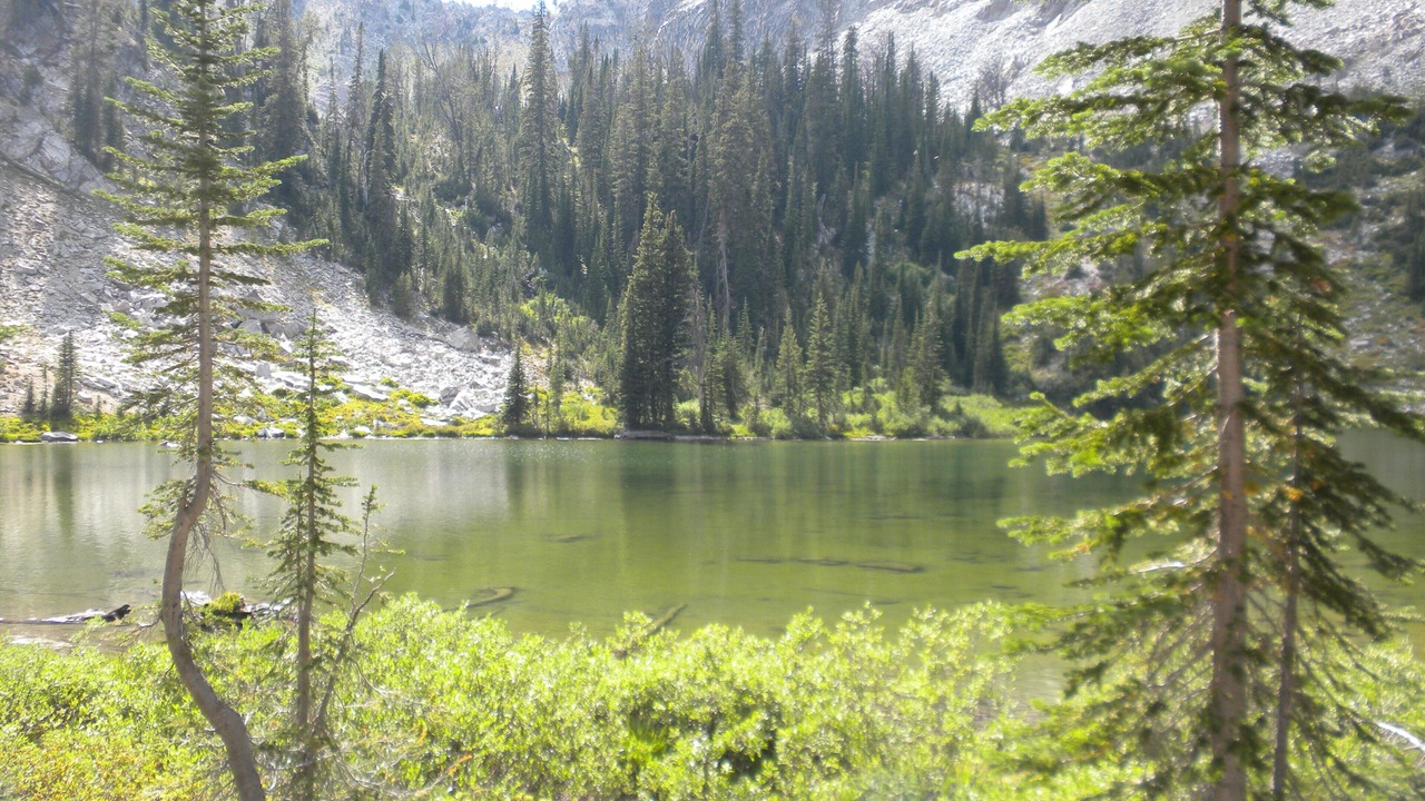 Photo of Outdoor in Sun Valley