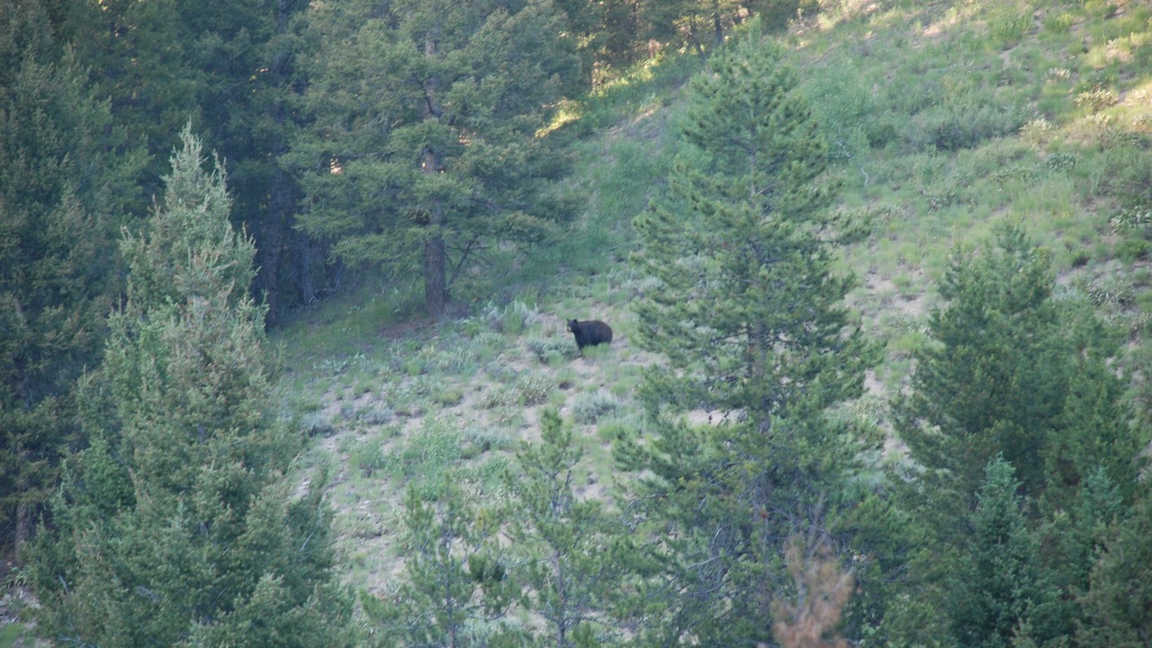 Photo of Outdoor in Sun Valley
