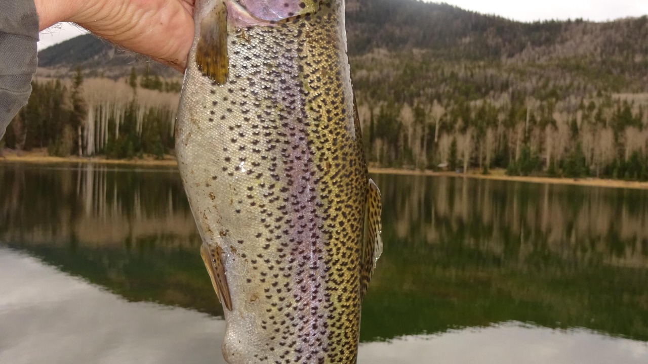 Photo of Outdoor in Beaver