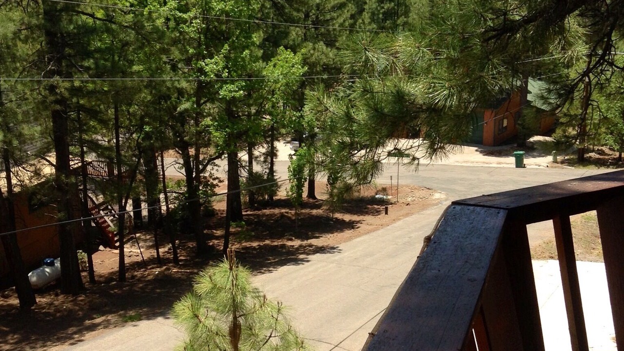 Photo of Outdoor in Munds Park