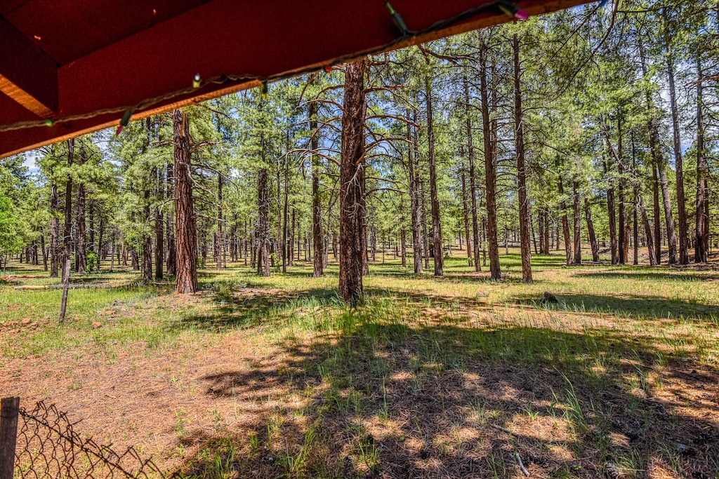 Photo of Outdoor in Parks