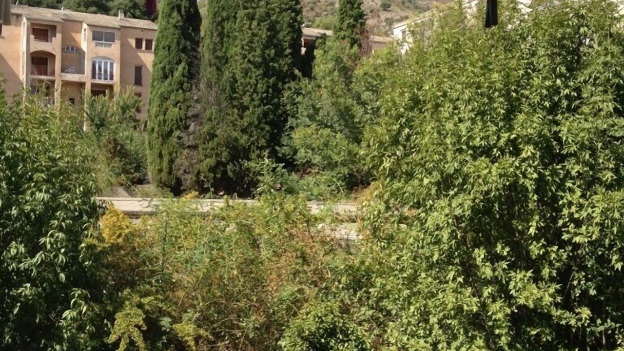 Photo of Others in Corte
