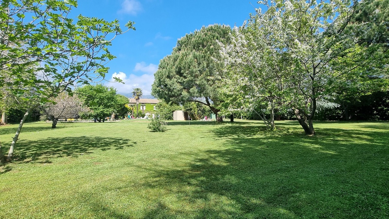 Photo of Outdoor in Santa-Lucia-di-Moriani