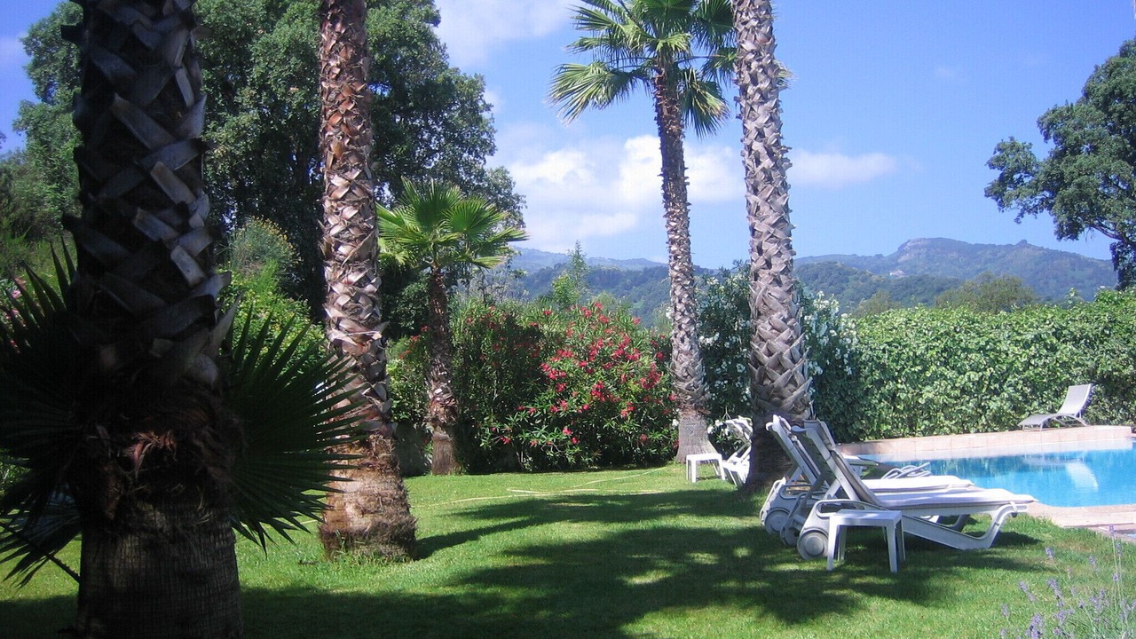 Photo of Outdoor in Talasani