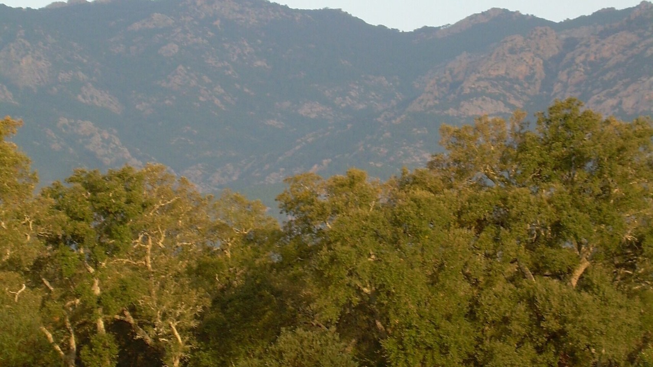 Photo of Outdoor in Arca