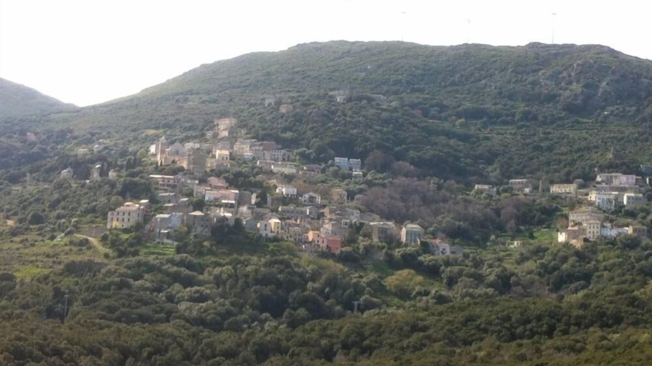 Photo of Others in Macinaggio