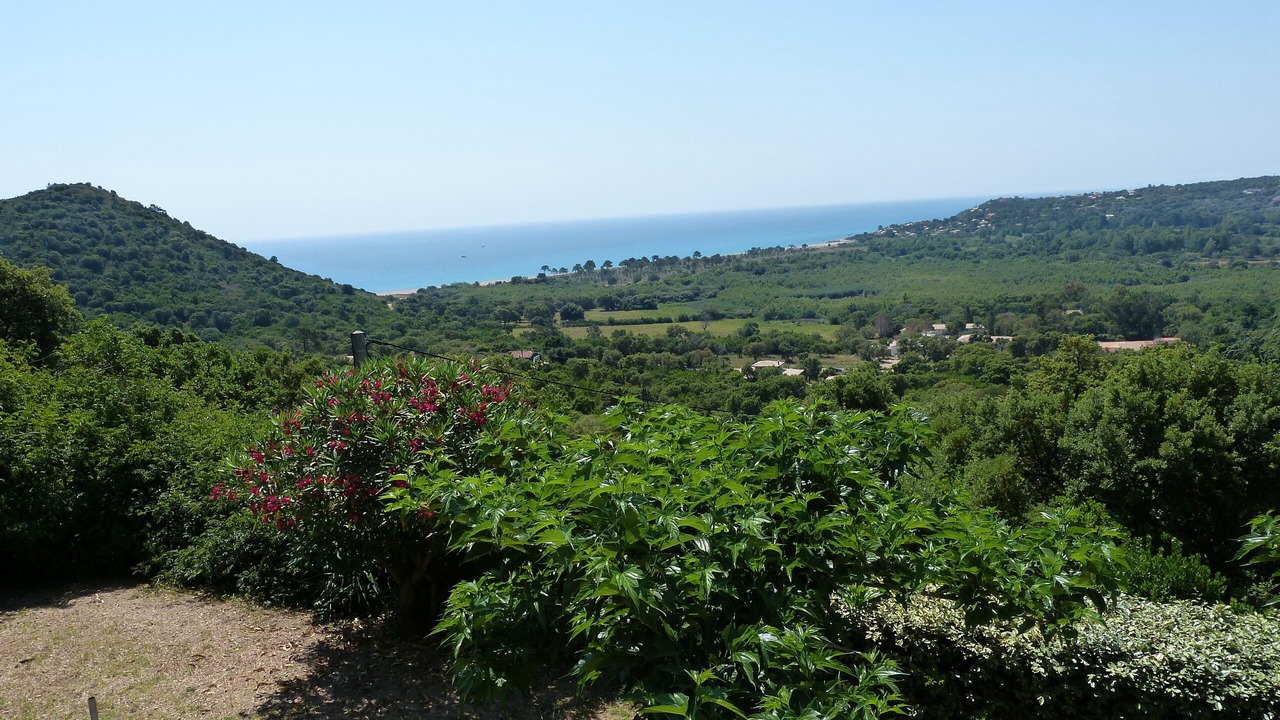 Photo of Outdoor in Pinarellu