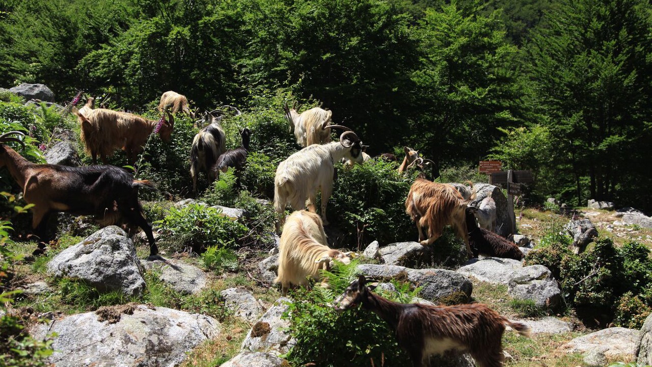 Photo of Outdoor in Pietroso
