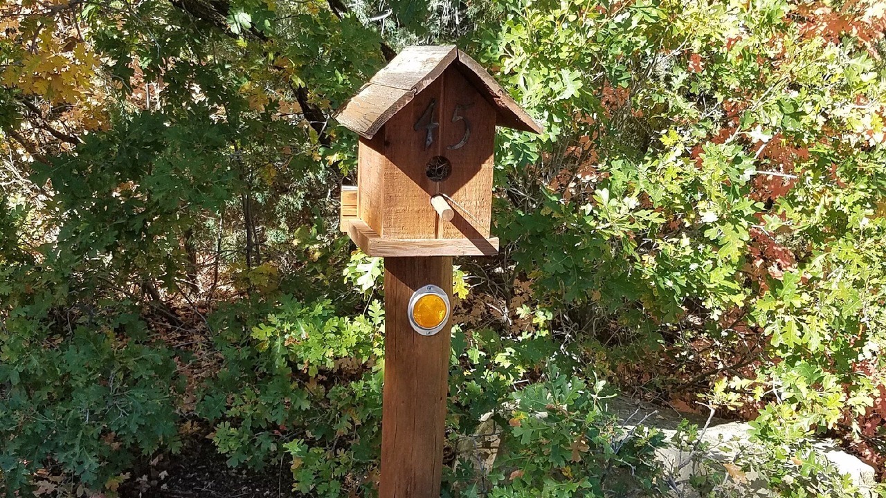 Photo of Outdoor in Mount Pleasant