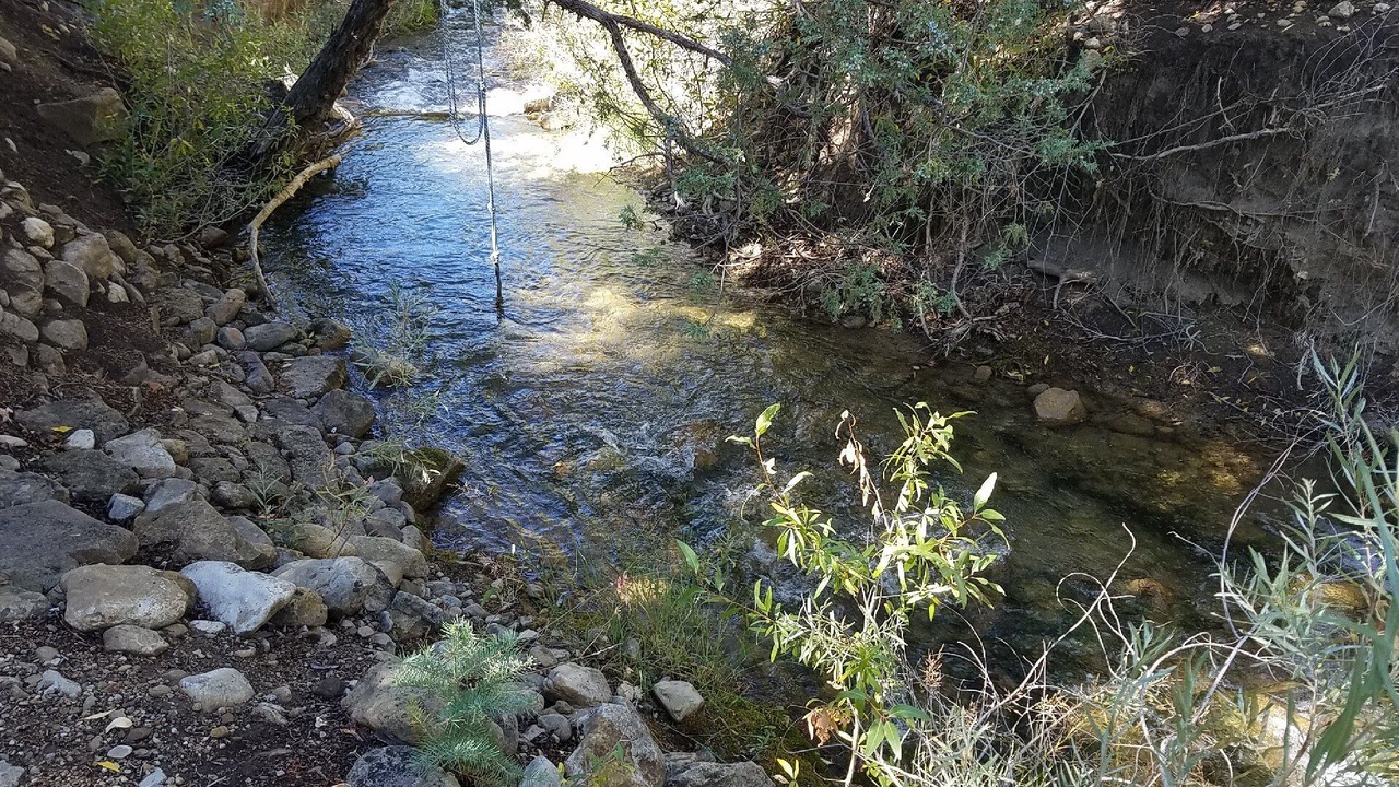 Photo of Outdoor in Mount Pleasant