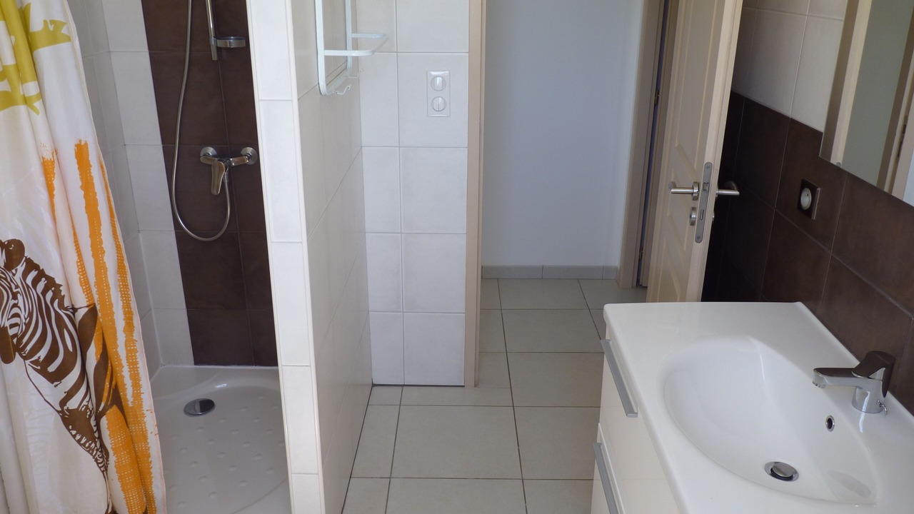 Photo of Bathroom in Afa