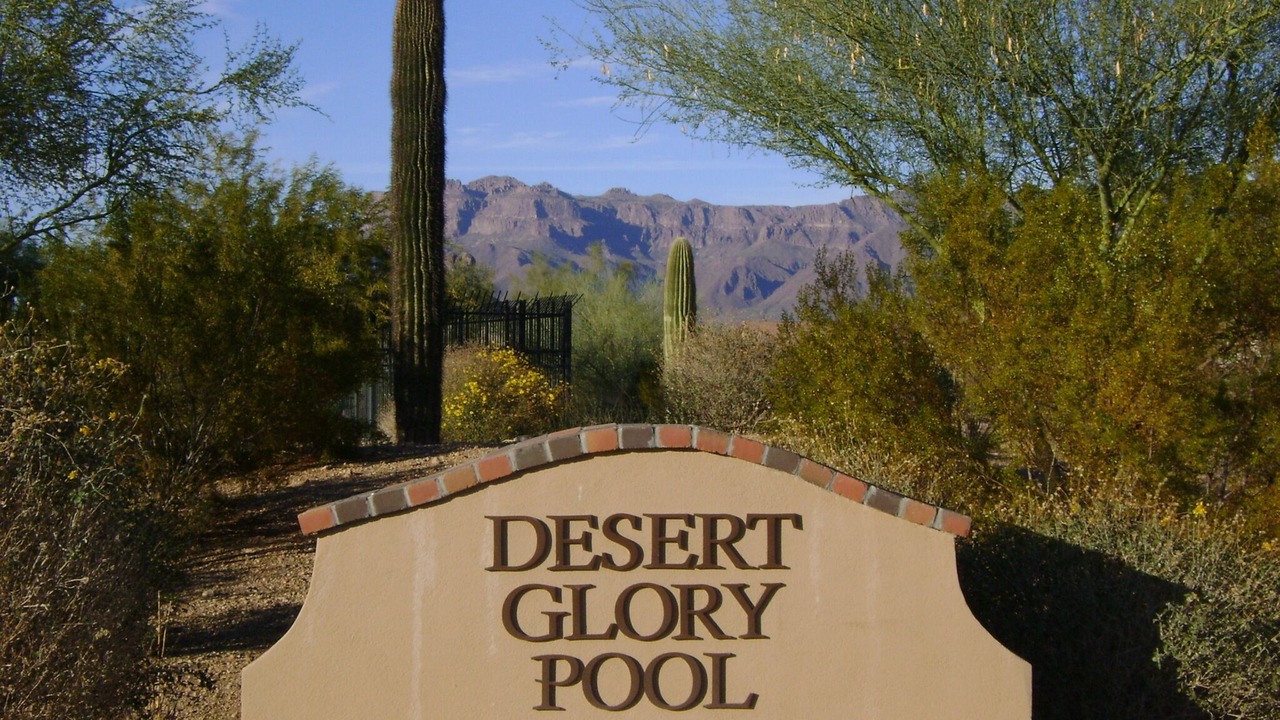 Photo of Others in Gold Canyon