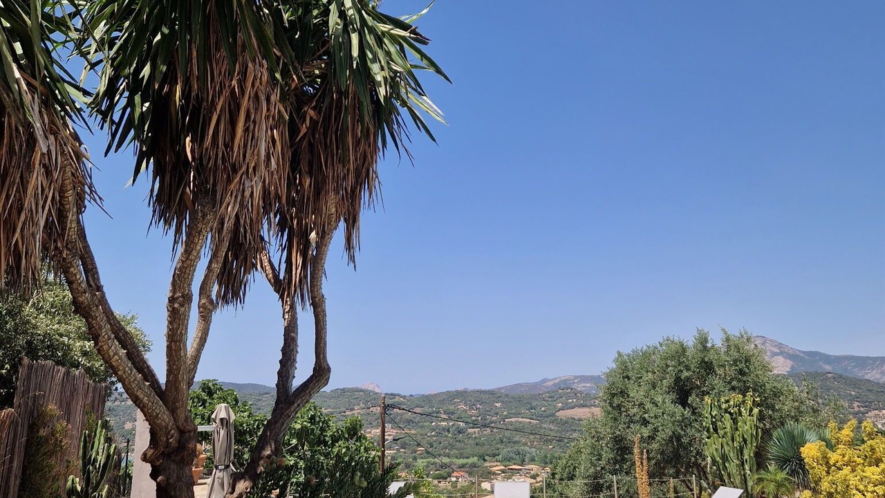 Photo of Outdoor in Cargese