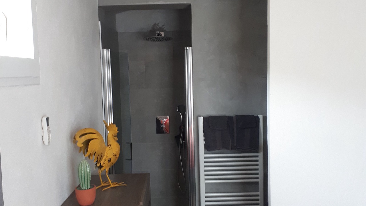 Photo of Bathroom in Cargese
