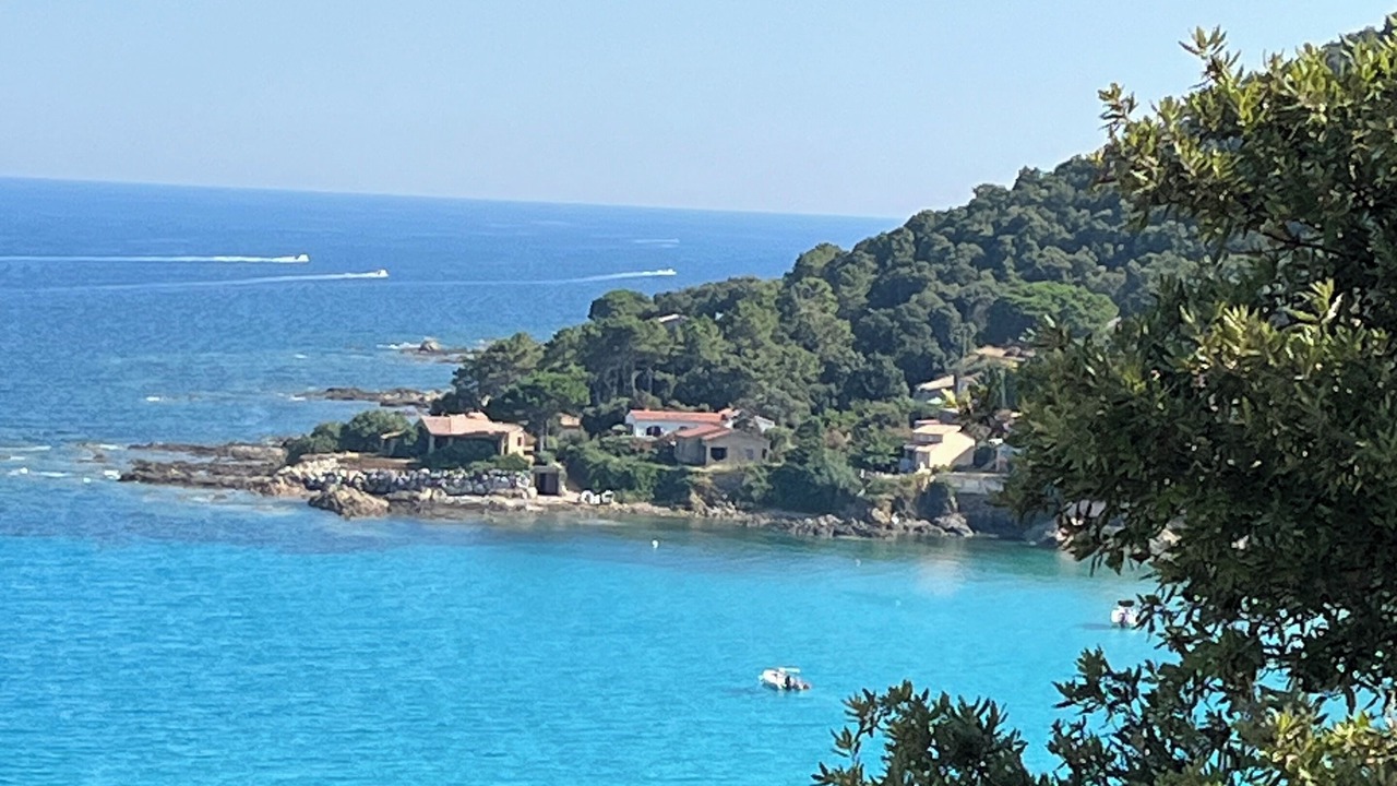 Photo of Others in Tarcu