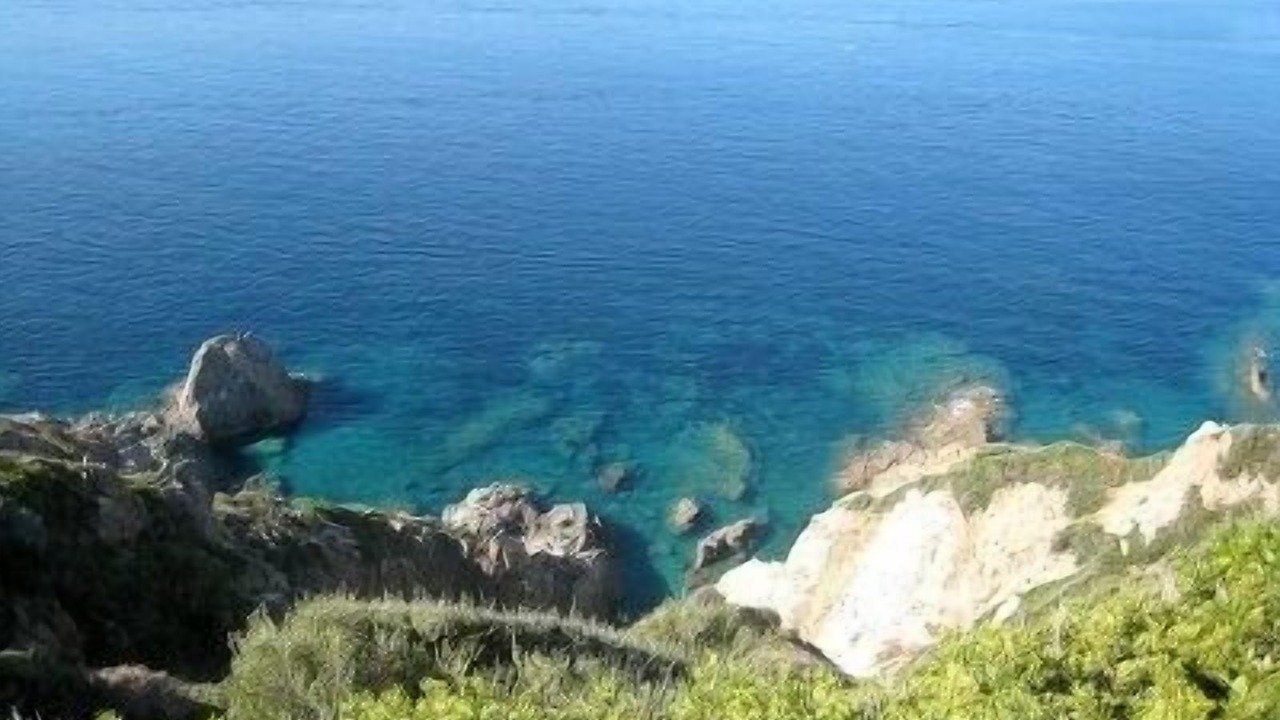Photo of Others in Cargese