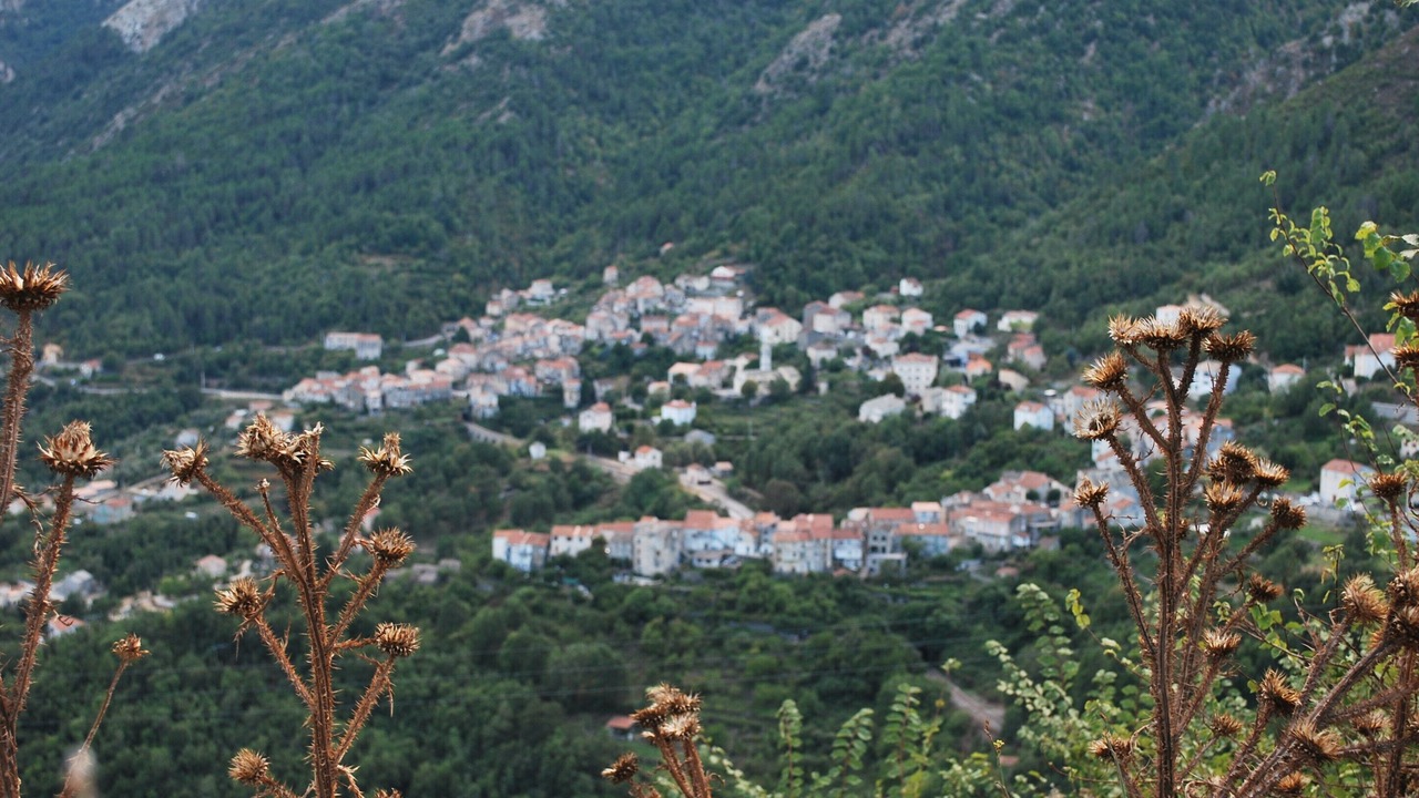Photo of Outdoor in Venaco
