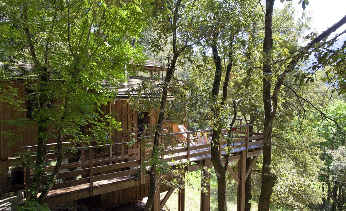 Photo of Outdoor in Chisa