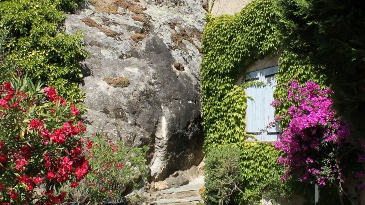 Photo of Outdoor in Monticello