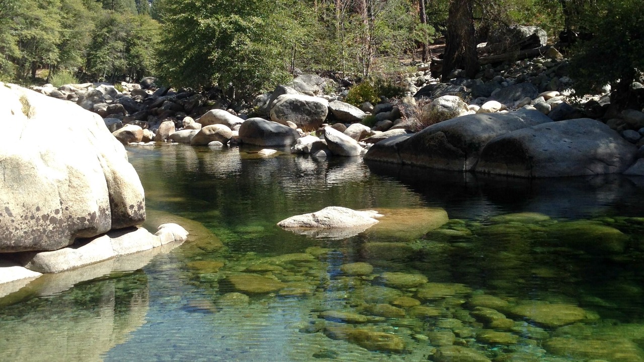 Photo of Others in North Wawona