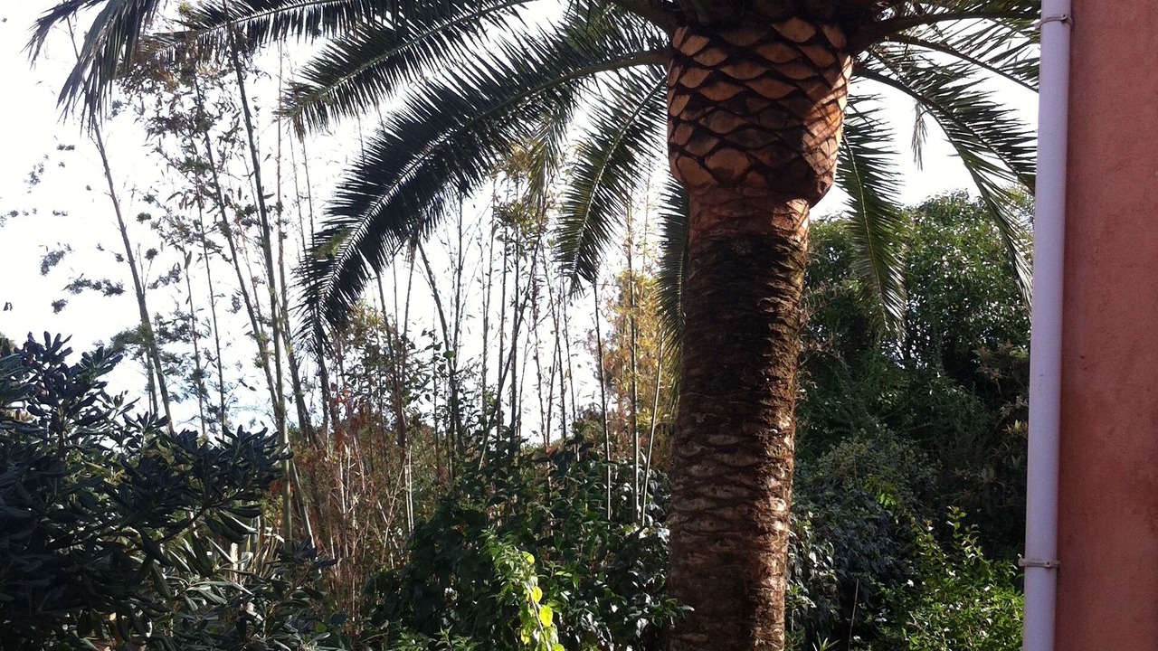 Photo of Outdoor in Grosseto-Prugna