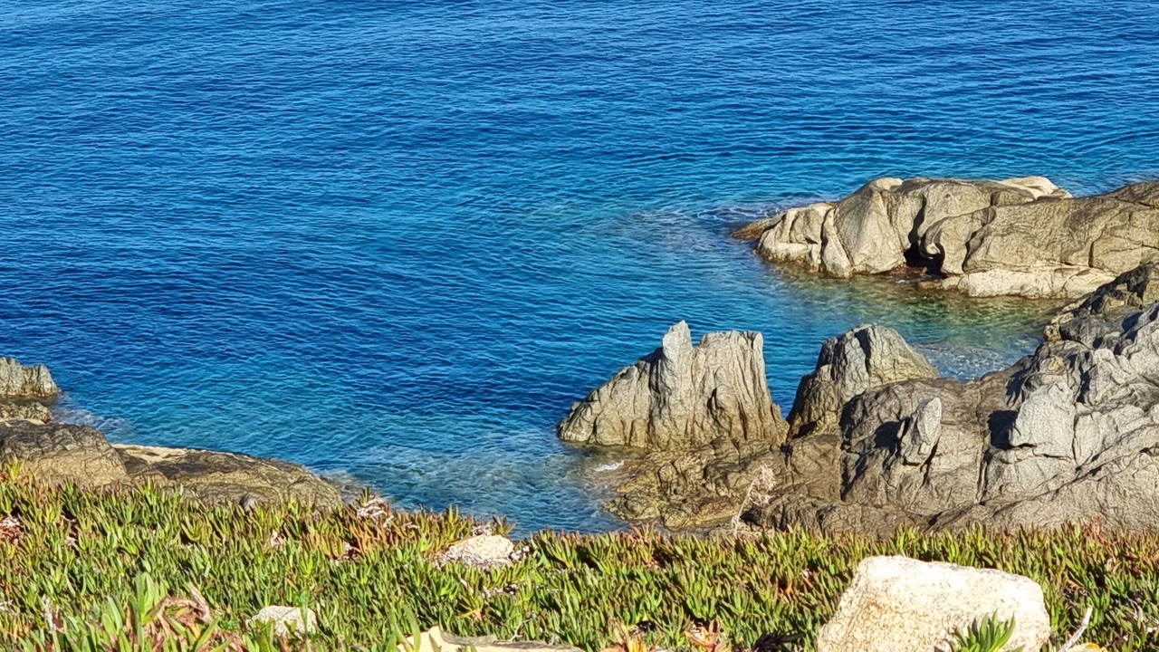 Photo of Others in Marine de Saint Ambroggio