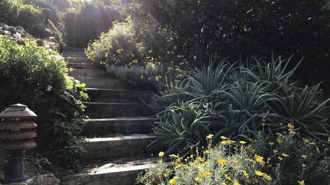 Photo of Outdoor in Saint-Florent