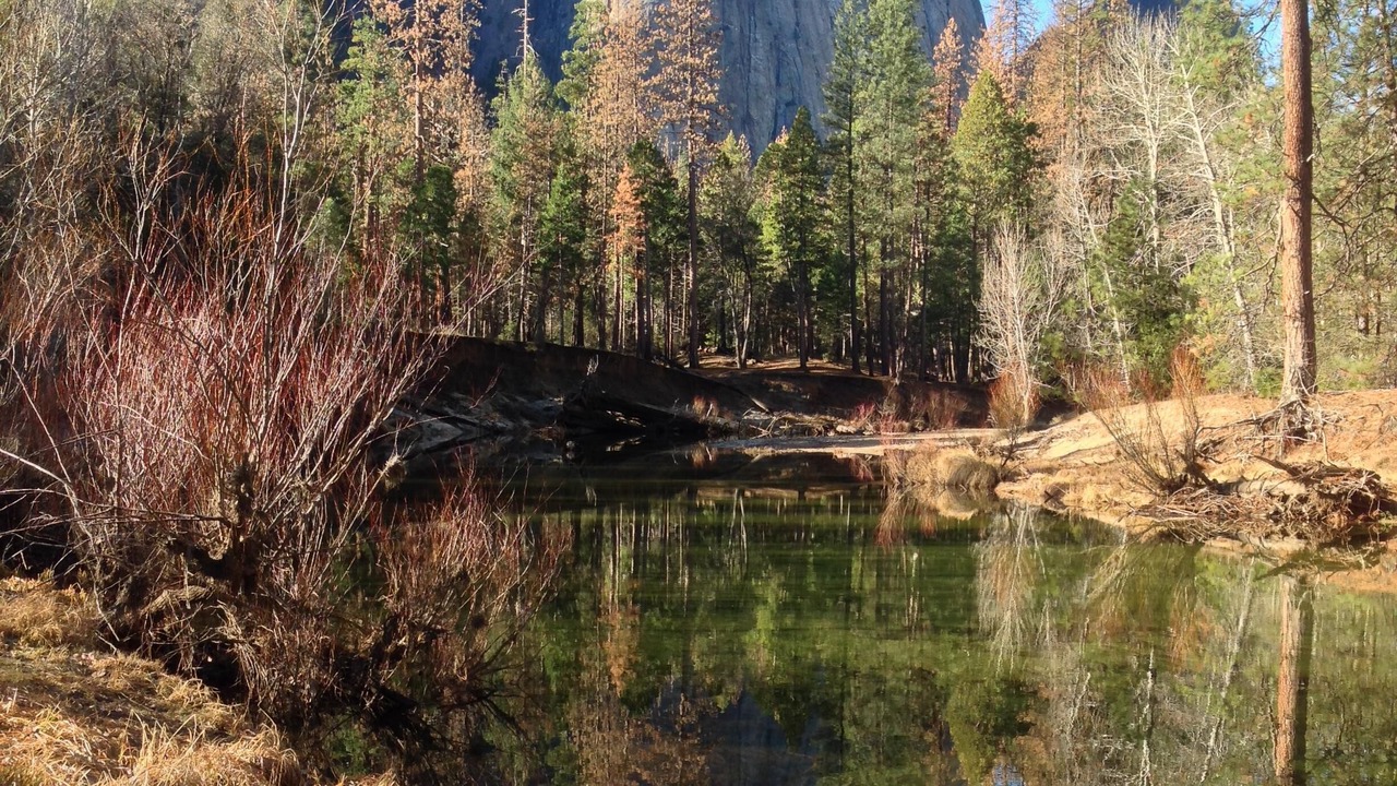 Photo of Others in Ahwahnee