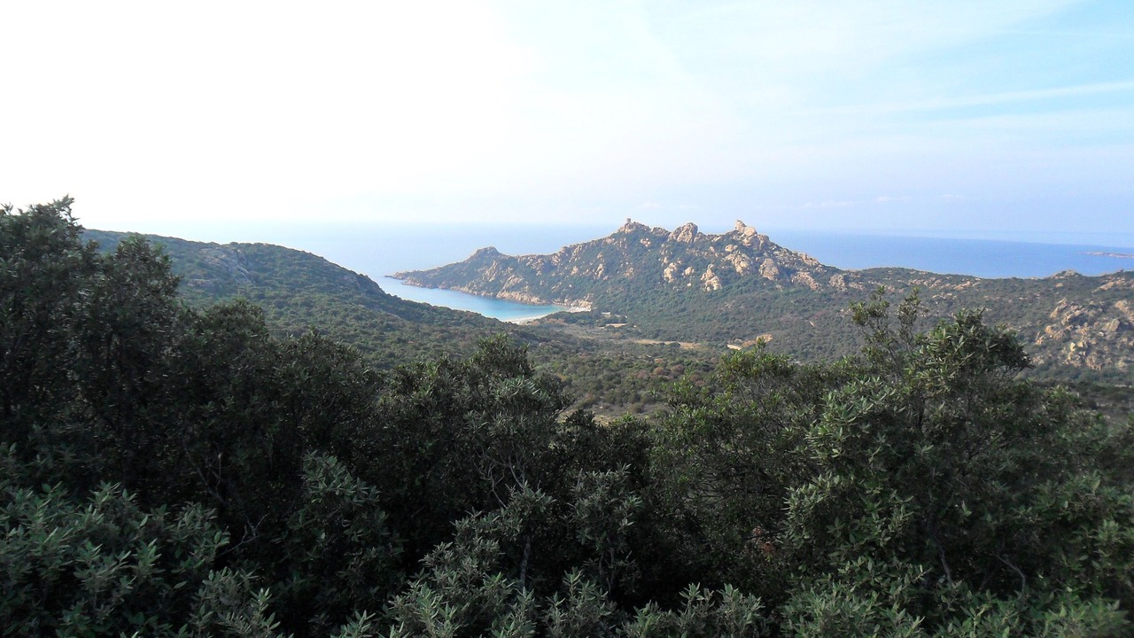 Photo of Others in Cognocoli-Monticchi