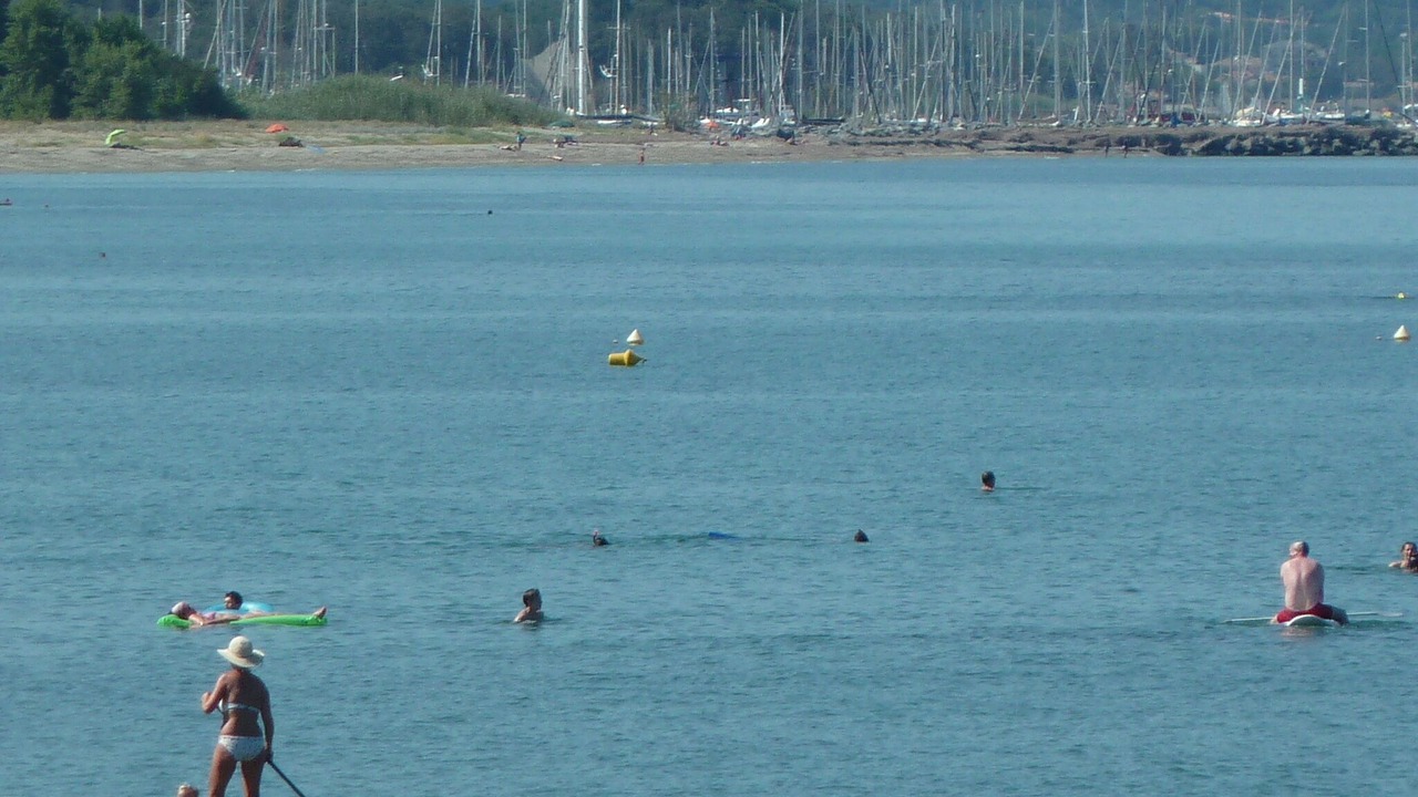 Photo of Others in Prunete