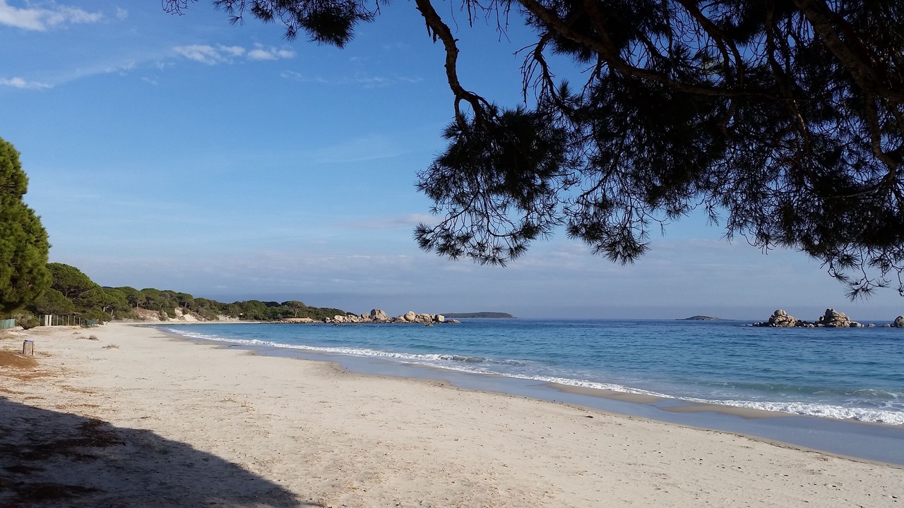 Photo of Others in Porto-Vecchio