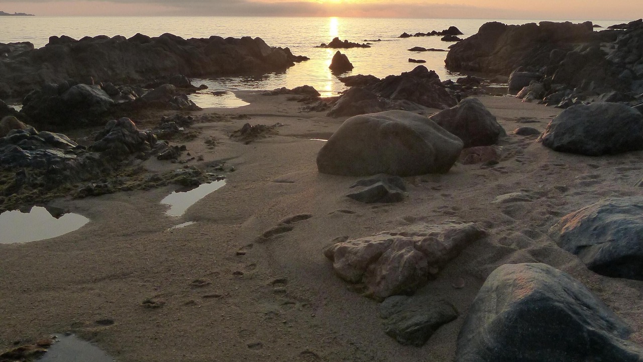 Photo of Others in Porto Pollo