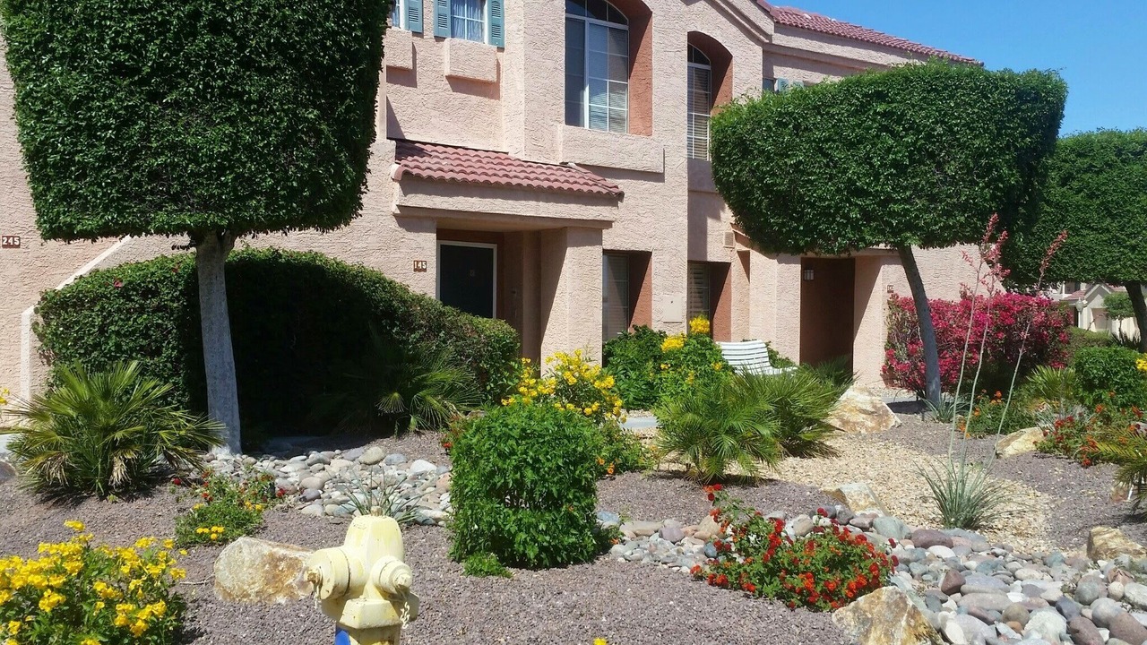 Photo of Others in Lake Havasu City