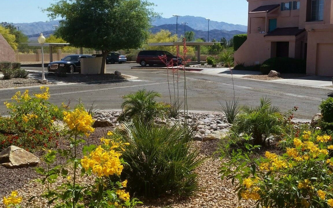 Photo of Others in Lake Havasu City