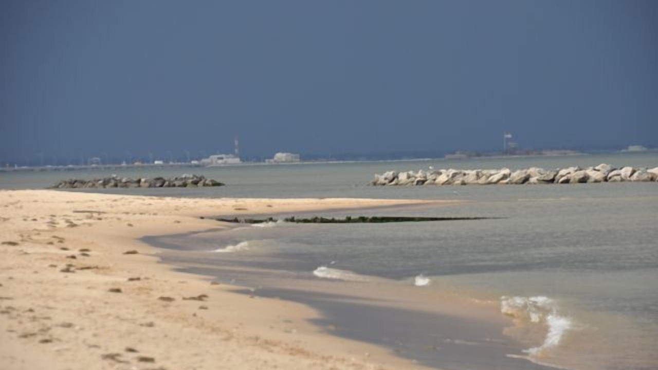 Photo of Others in Willoughby Spit