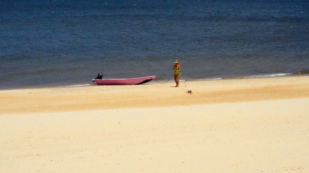 Photo of Others in Willoughby Spit