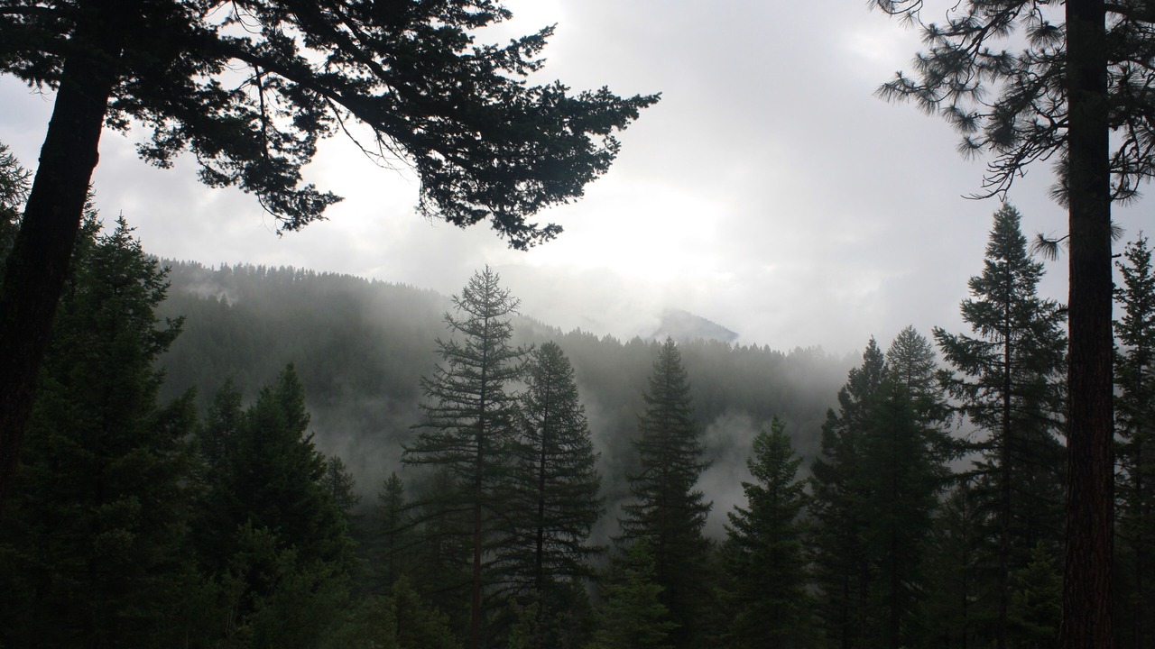 Photo of Others in Missoula