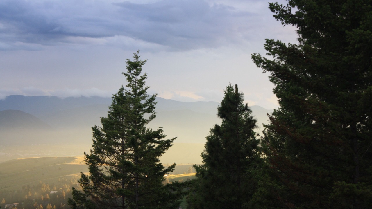 Photo of Others in Missoula