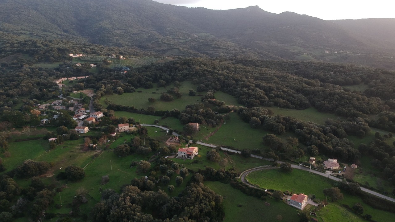 Photo of Outdoor in Sollacaro