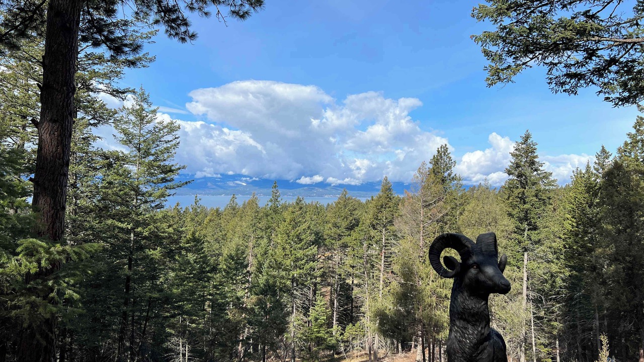 Photo of Outdoor in Bigfork