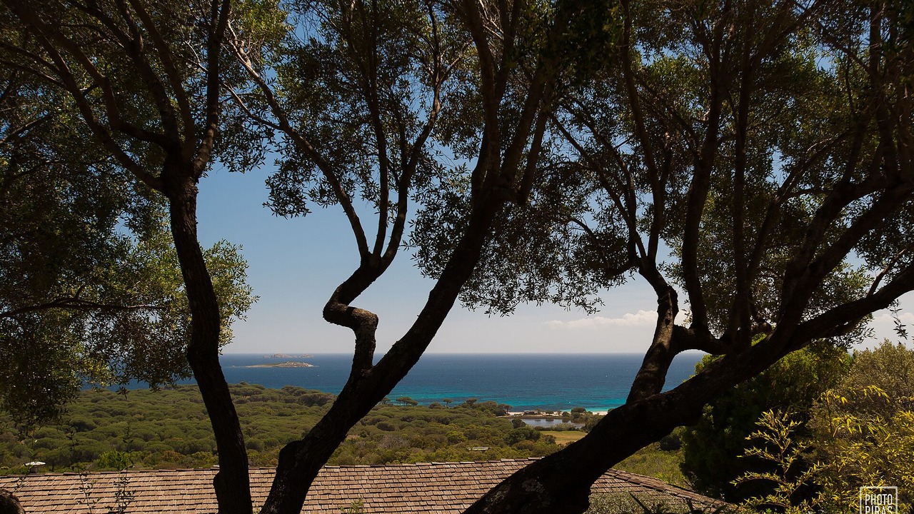 Photo of Others in Hameau de Palombaggia