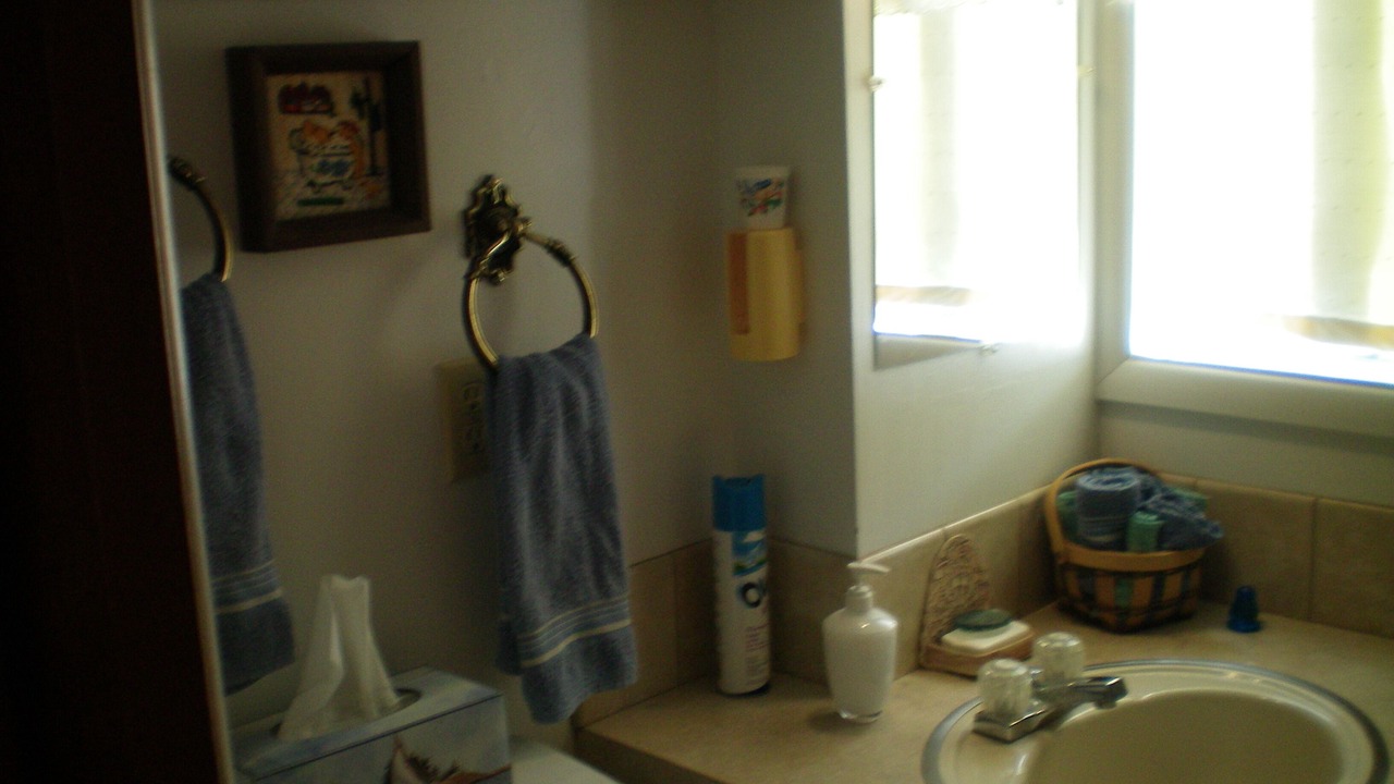 Photo of Bathroom in Lowman